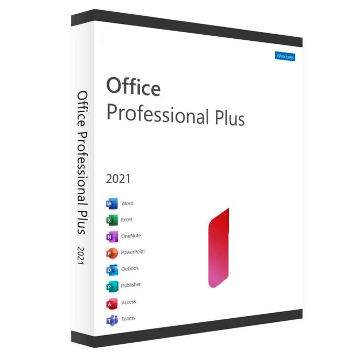 Microsoft Office 2021 Professional Plus